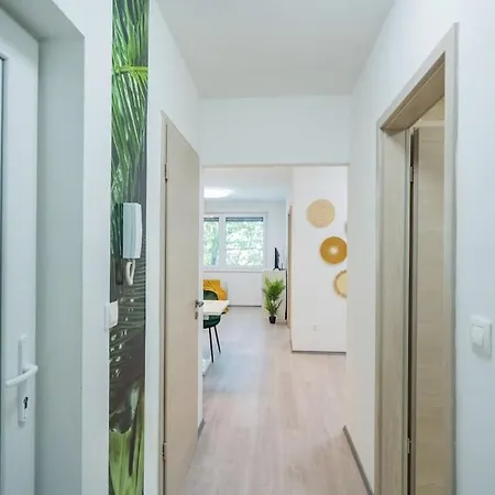 Apartment Jungle *