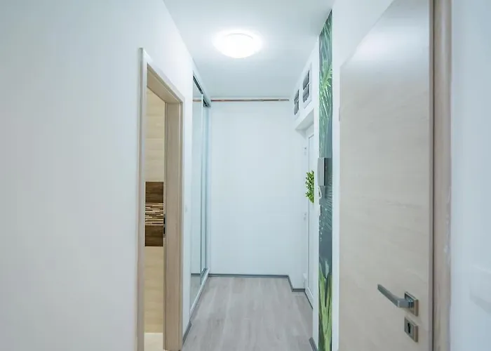 Apartman Jungle *