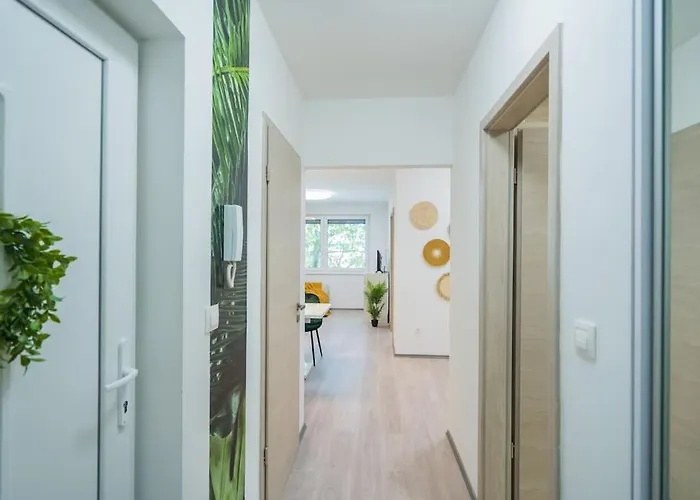 Apartman Jungle *